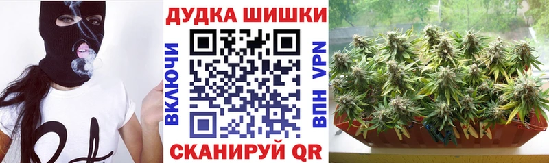 Купить  Белая Холуница  Марихуана сатива 